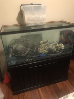 Fish tank