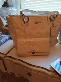 Coach bag and wallet