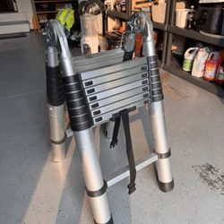 Little Giant Ladder