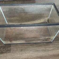 10 gal tank / reptile / aqaurium