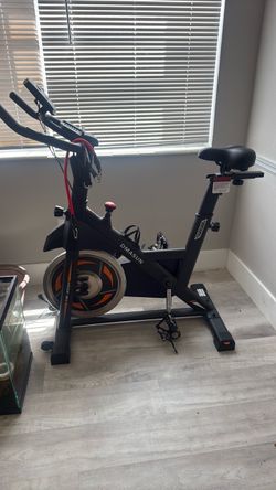 DMASUN Indoor Cycling Spin Bike