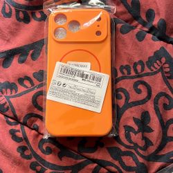 iPhone 17 Pro Max Case