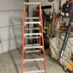 Werner 6ft Ladder 