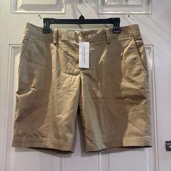 Banana Republic Stretch Petite Shorts 12P