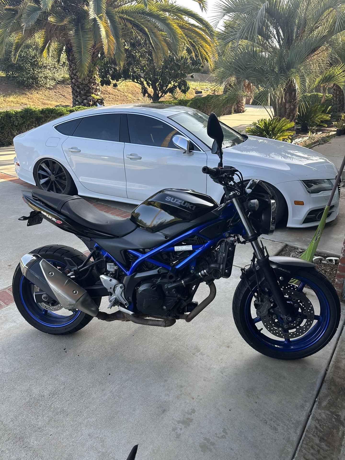 2019 Suzuki SV650 ABS