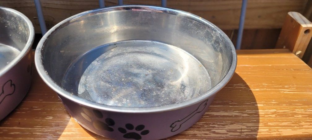 Pet Bowl