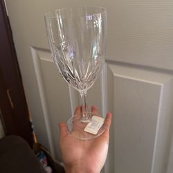 Acrylic wine glass