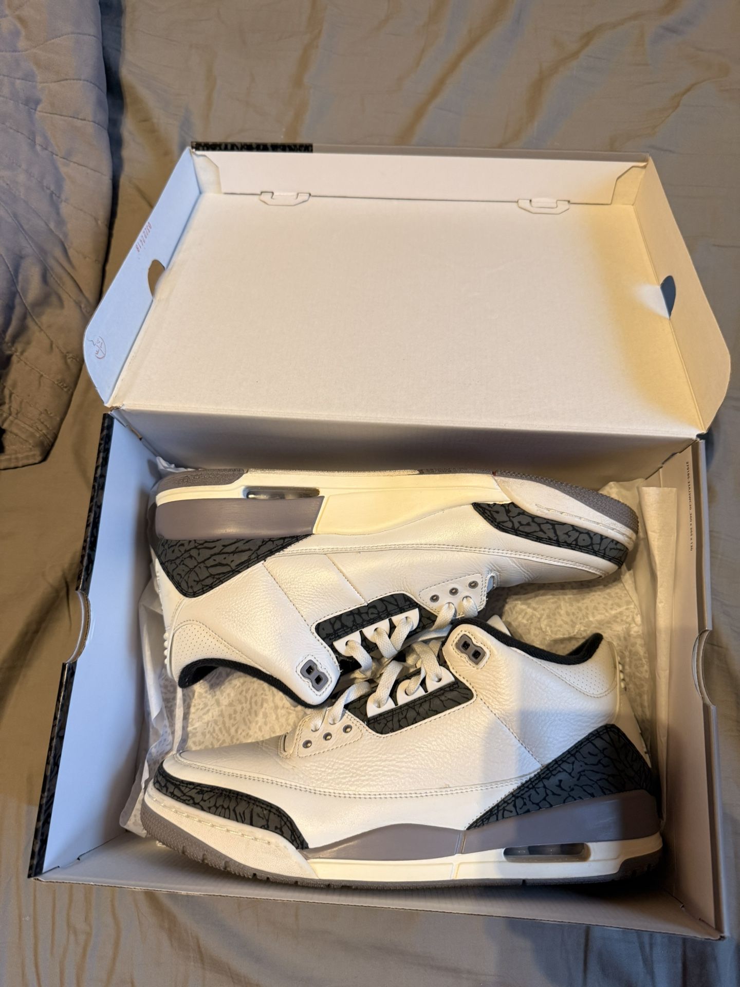 Jordan 3s