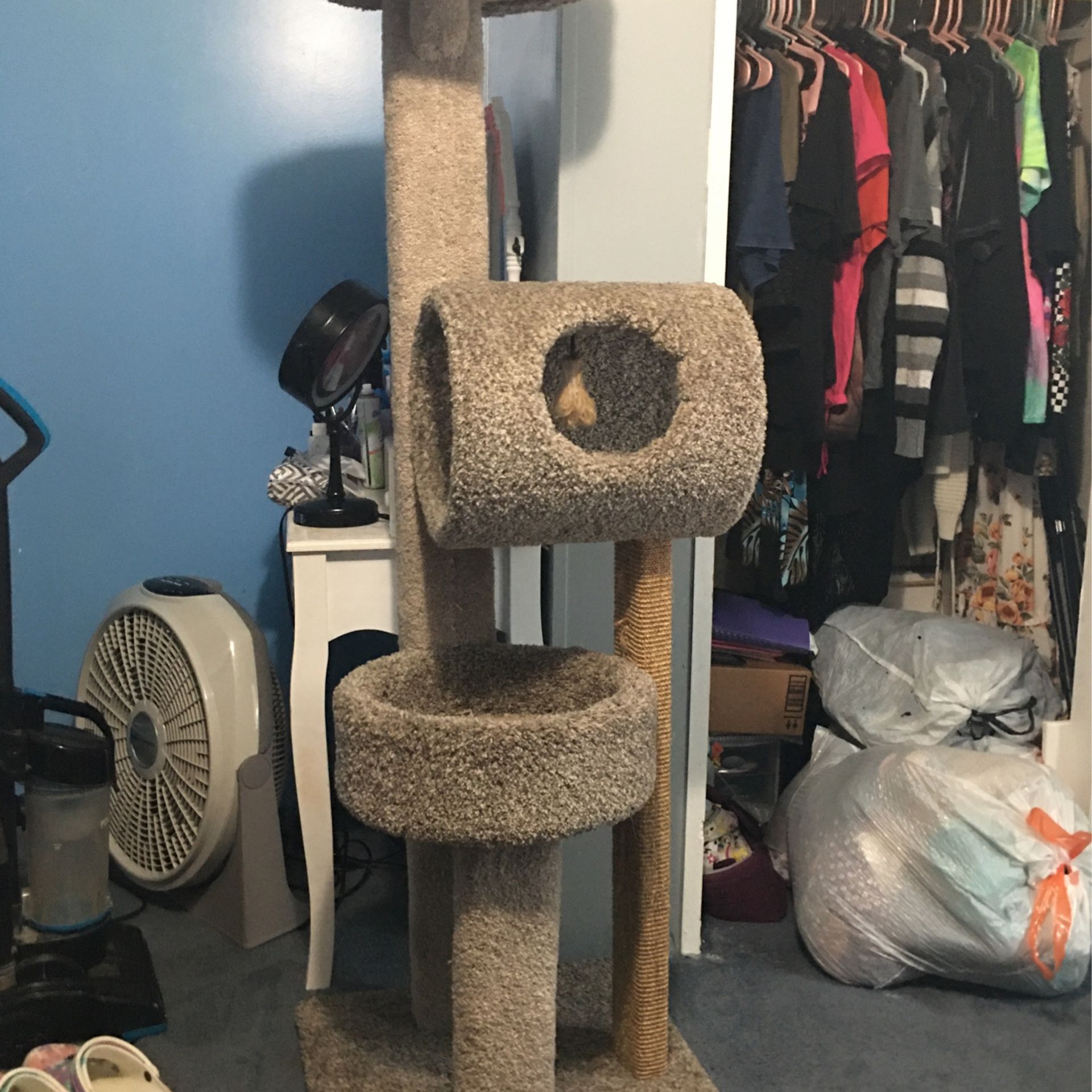 Cat Tree 