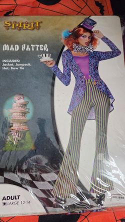 Mad Hatter Halloween costume