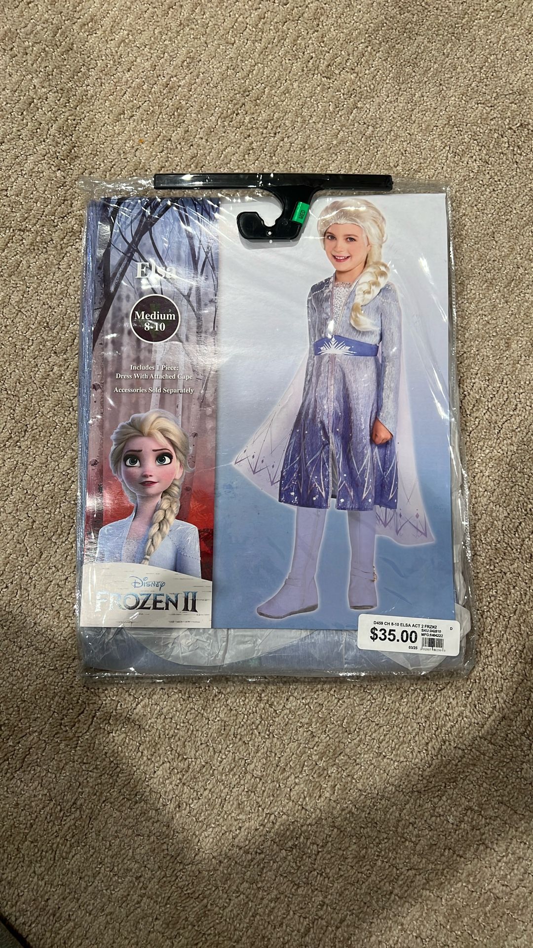 Elsa Costume 