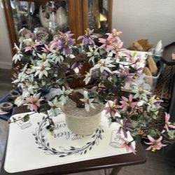 Japanese jade tree glass