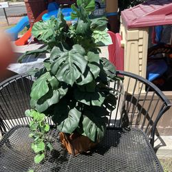 Artificial Plant 