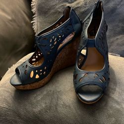 Blue Wedge