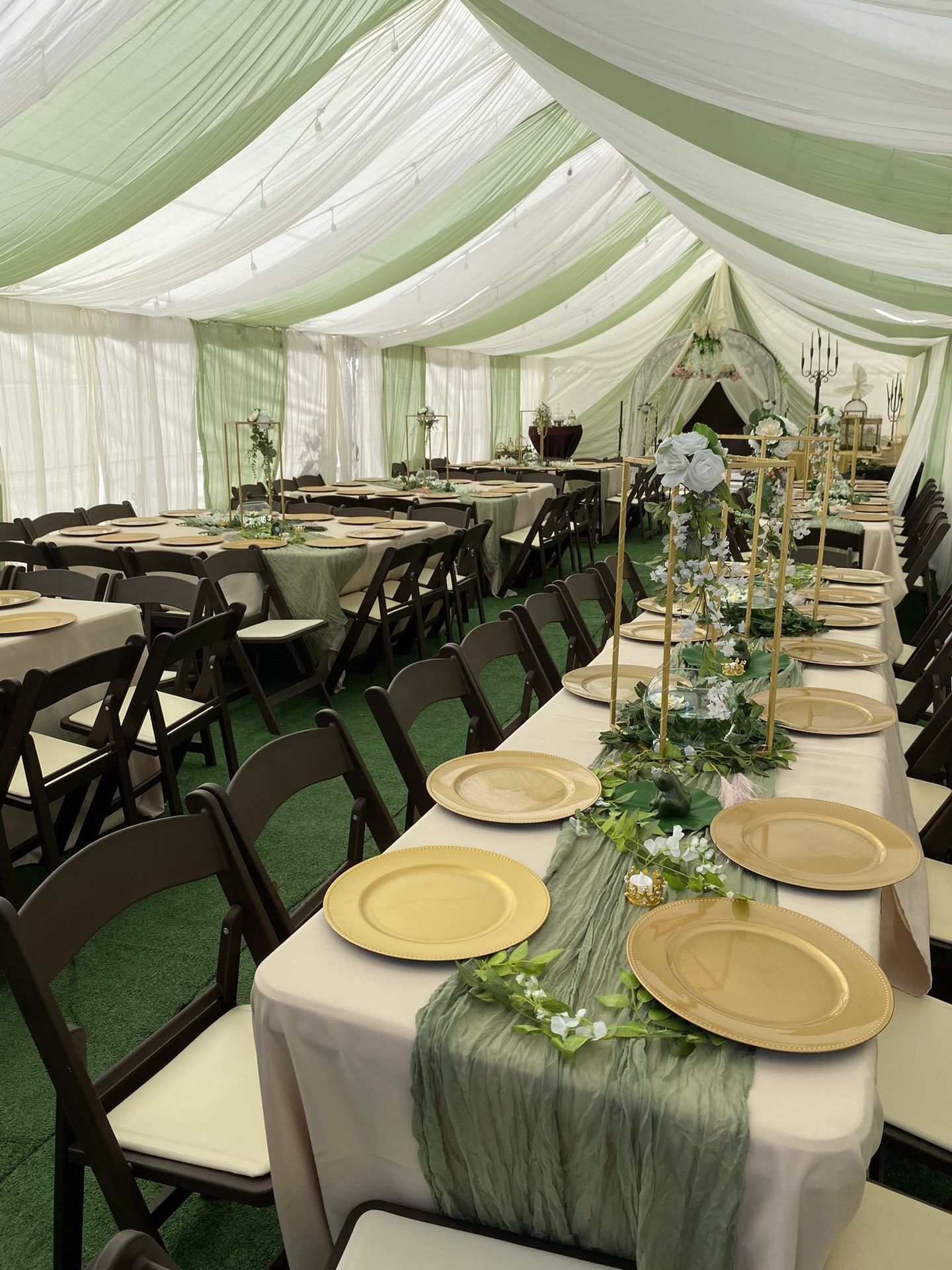 Canopy’s 20x20, 20x30, 20x40….