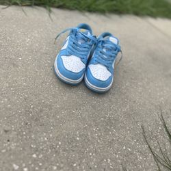 Nike Dunks Blue And White