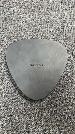 Savant SMS-100AM