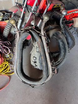 Harnesses