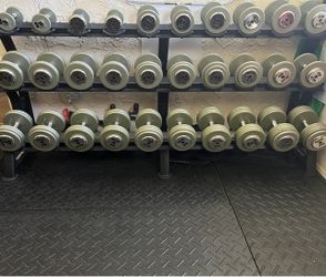 Troy Gray Pro style Dumbbells 5 to 100 lbs