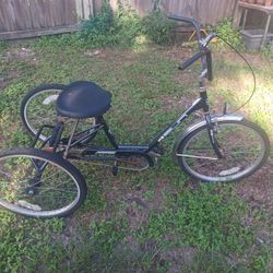 3 Wheel Bike