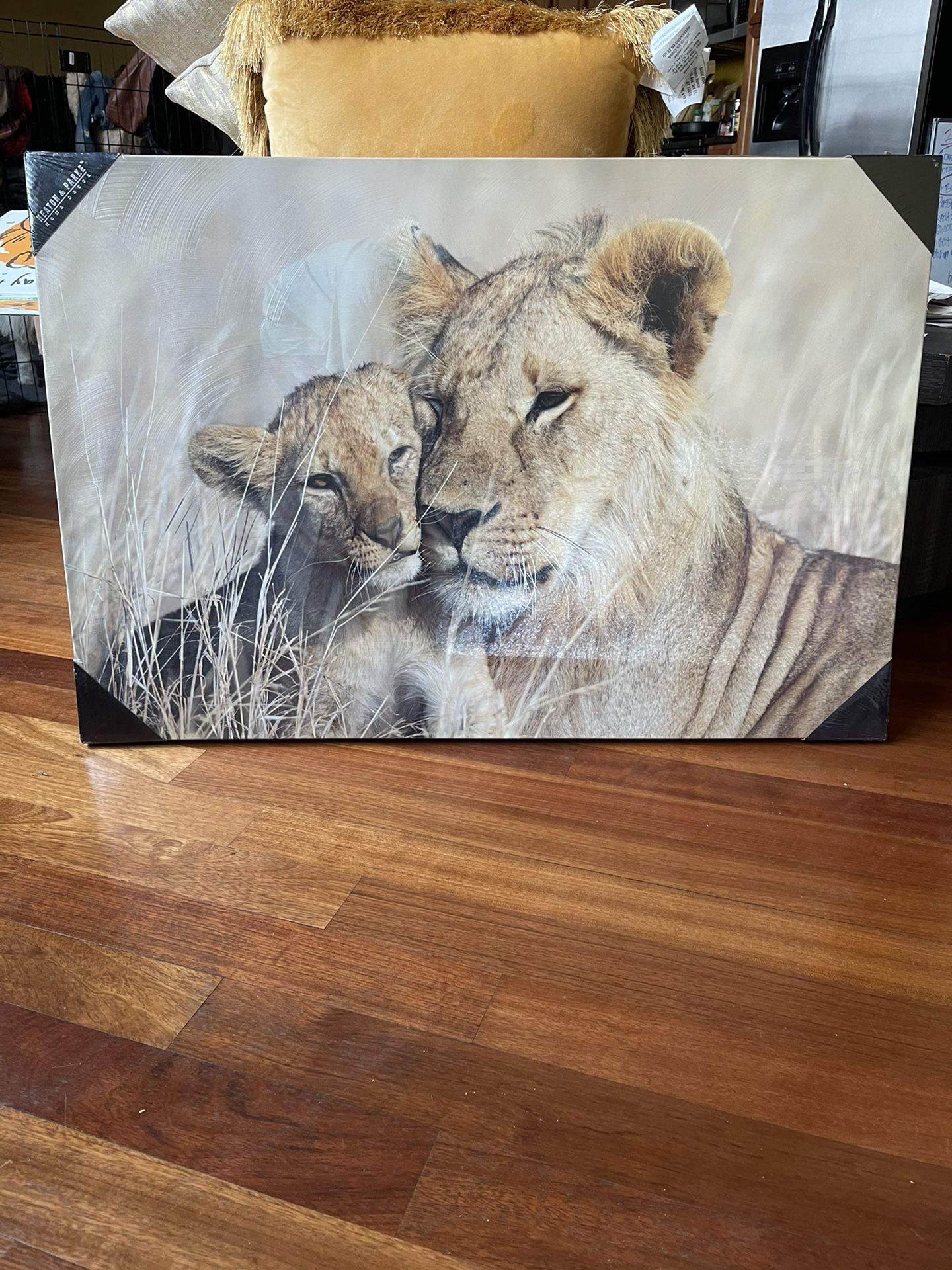 Lion And Lioness