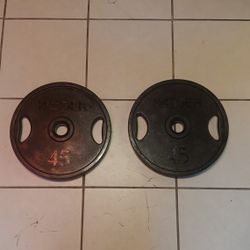 45lb Bumper Plates