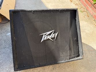 Peavey PV 12M passive 12”
