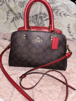 Coach Purse/Jordan Shoes