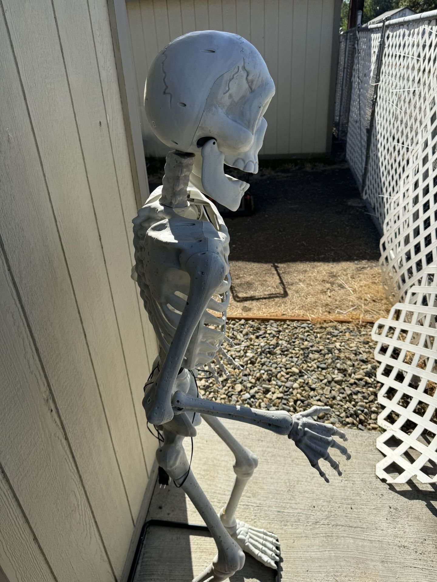 hallowen decoration