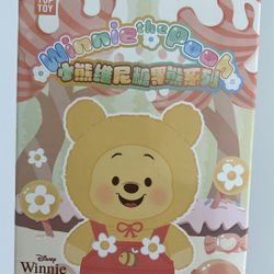 Winnie The Pooh Blind Box