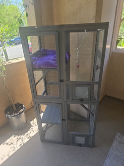 Cat catio