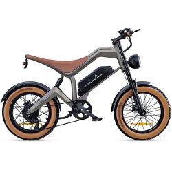 Electric Bike 