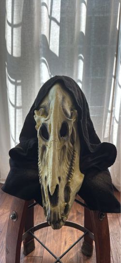 Skull Halloween Costume Mask with Hood