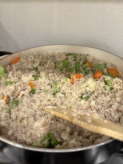 Homemade Dog Food 10 Cups