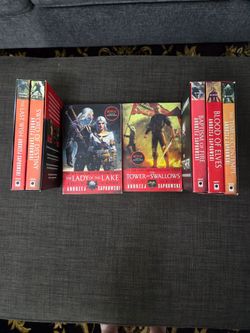 The Witcher book series by Andrzej Sapkowski