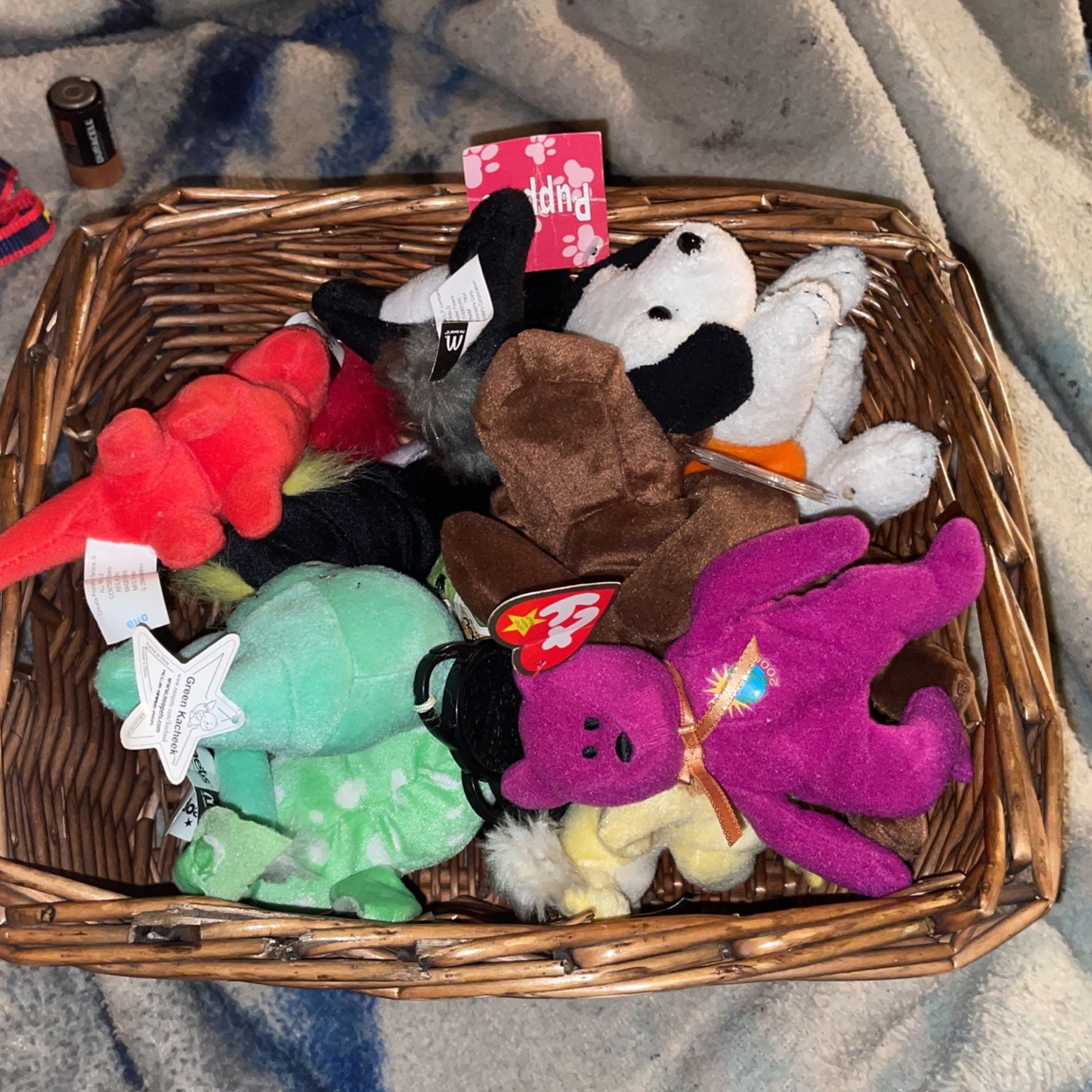 14  Cute Little Beanie Baby’s