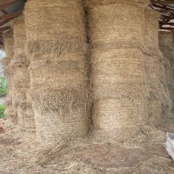 hay for sale 