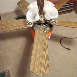 Hampton Bay Ceiling Fan 