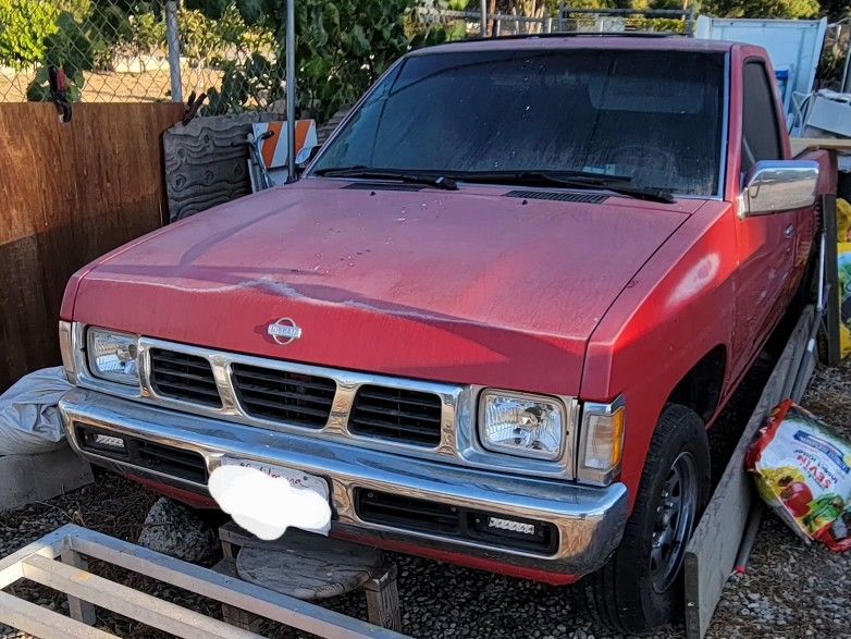 HARDBODY