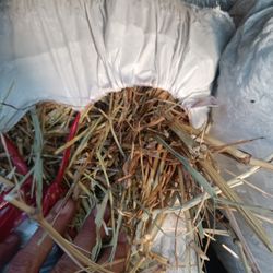 Fresh Grazing  Bale Of Hay In Bags