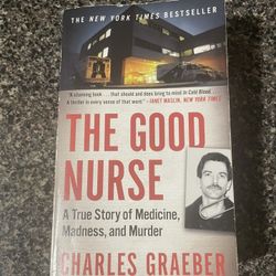 The Good Nurse