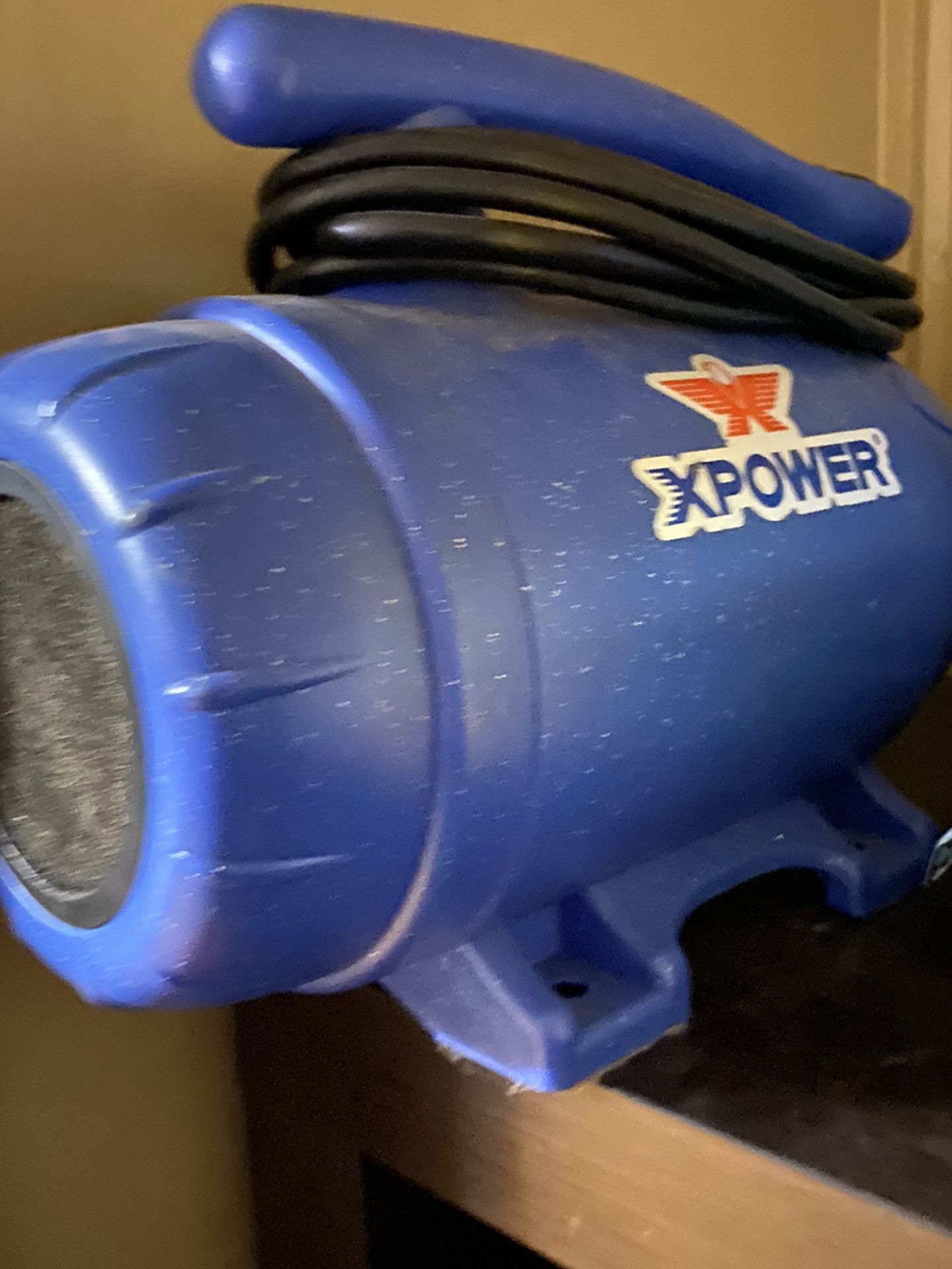 Pet Dryer Xpower 115 V