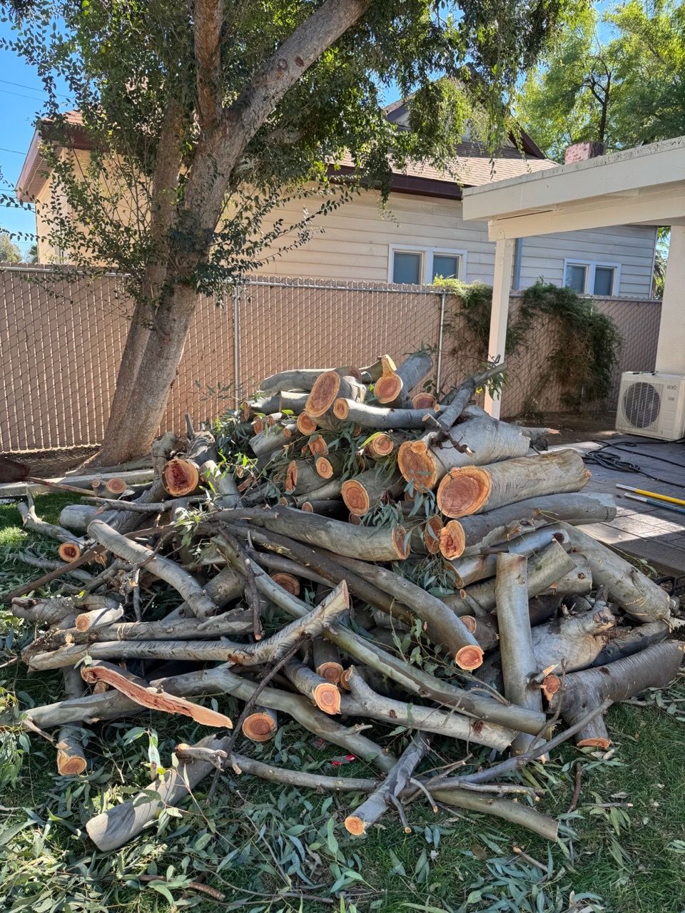 Eucalyptus tree Fire wood for Sale in Riverside, CA - OfferUp
