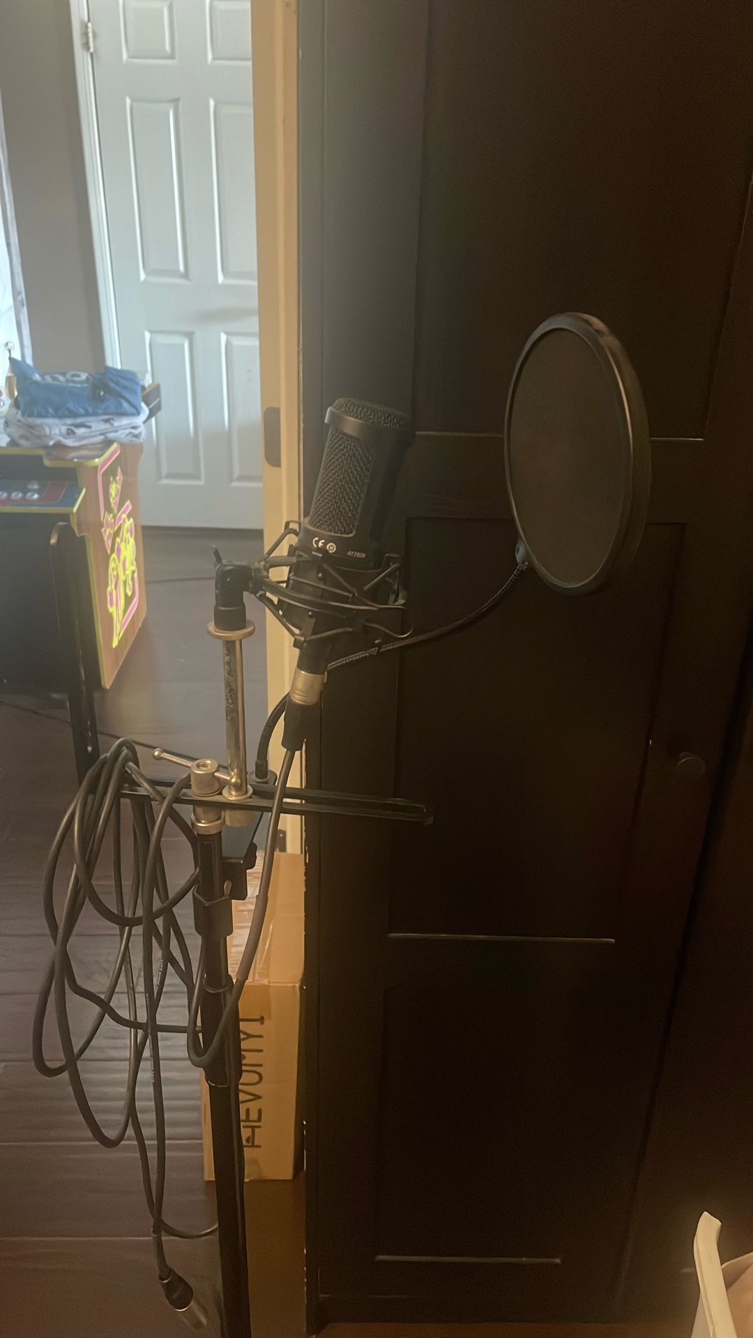 Microphone And Stand