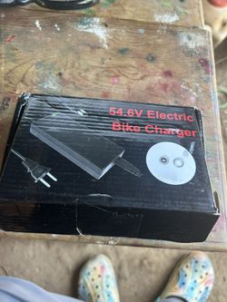 Battery Charger Bicycle/ Scooter