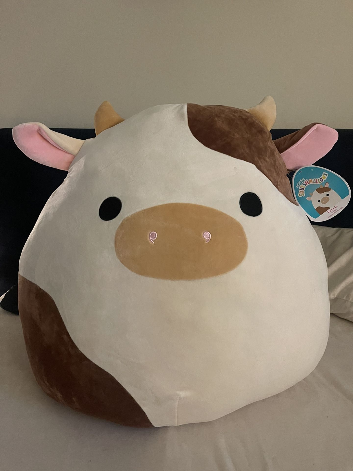 Ronnie The Brown Cow Squishmallow 24’ for Sale in Anaheim, CA OfferUp