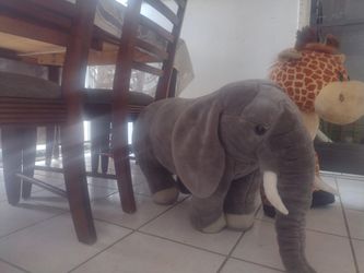 Giraffe And Elephant