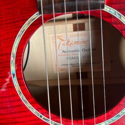 Takamine 6strings  