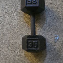 35 LB Dumbbell 