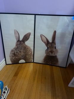 Bunny Room Decor